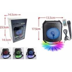 ENCEINTE KARAOKE LUMINEUSE...